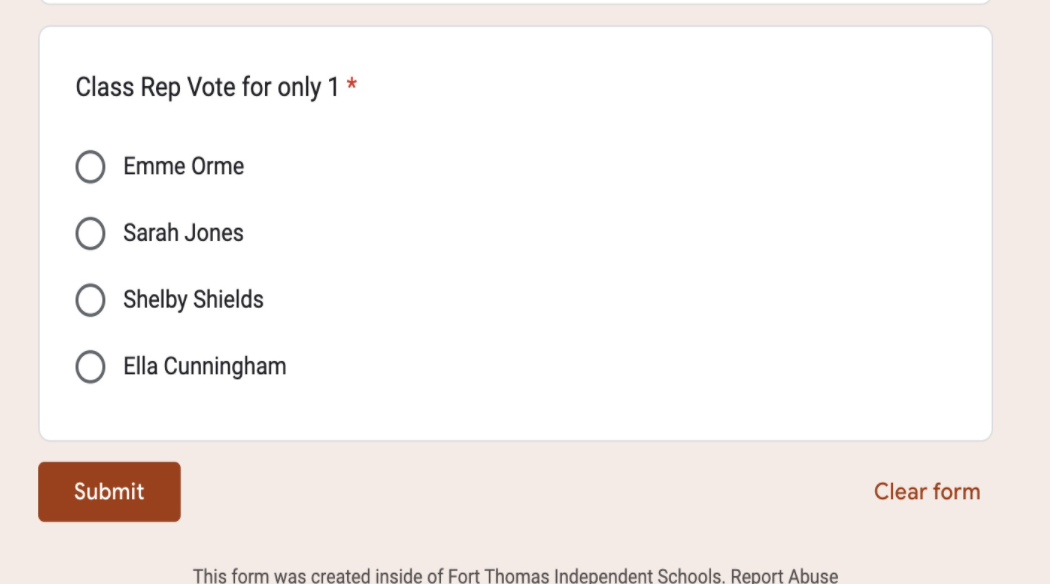 The Google form used to vote for a new class representative.
